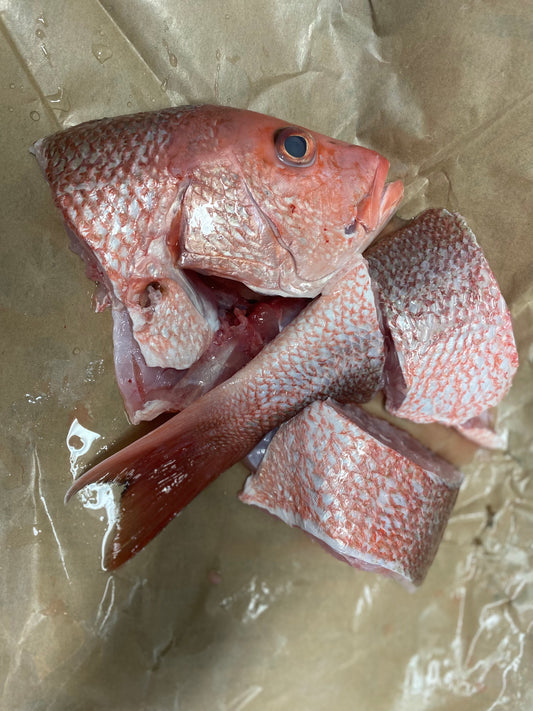 BROTH- FISH BROTH