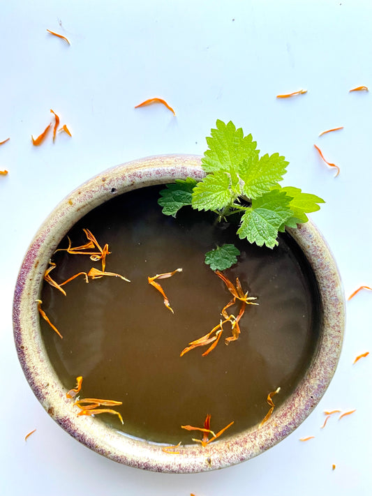 BROTH- CHICKEN BONE BROTH